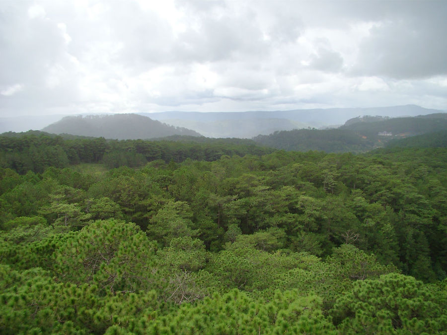 Счастье молодоженов начинается в Далате Далат, Вьетнам Счастье молодоженов начинается в Далате Далат, Вьетнам