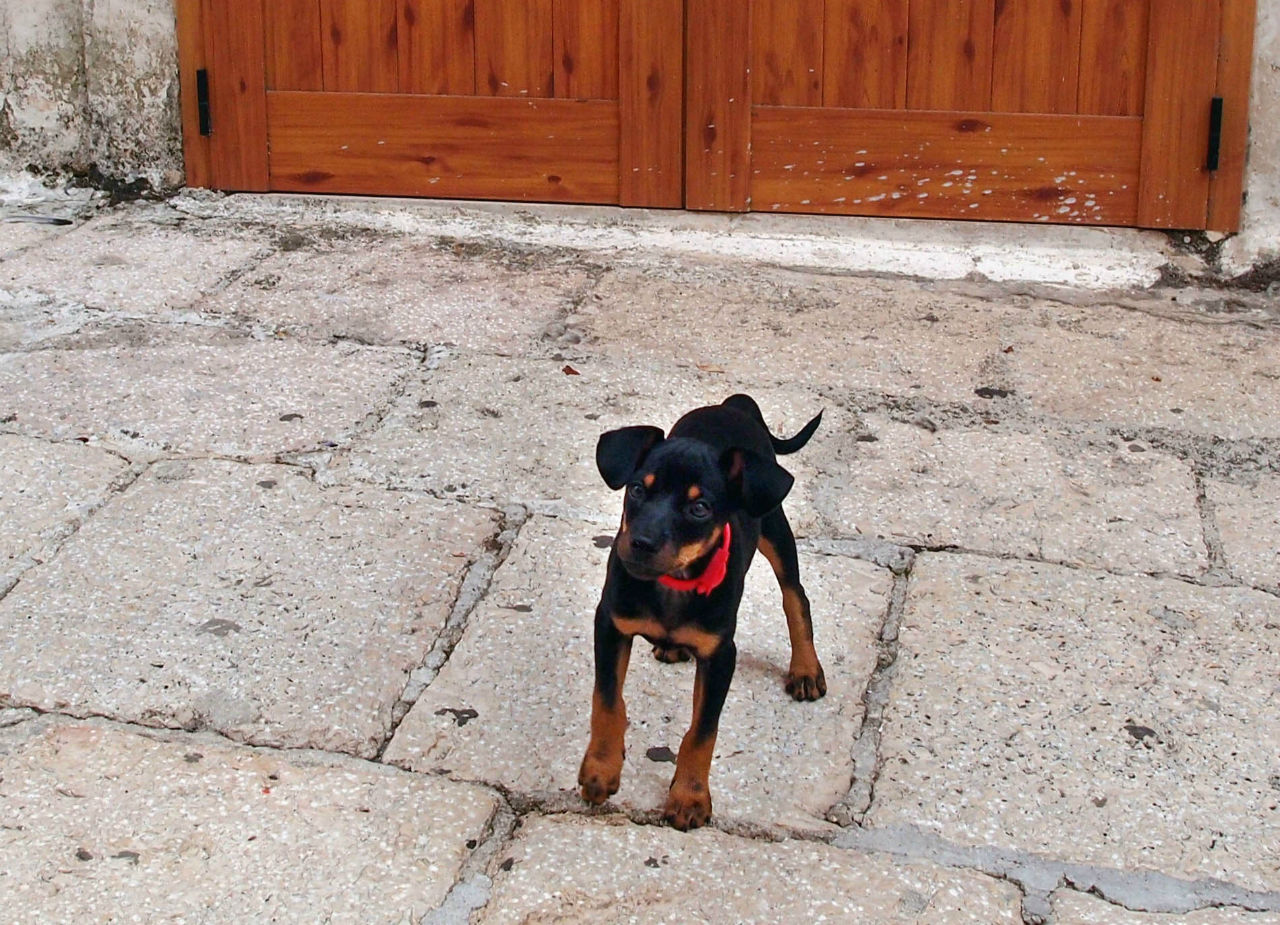 Сиеста в медленном городе Чистернино, Италия Сиеста в медленном городе Чистернино, Италия