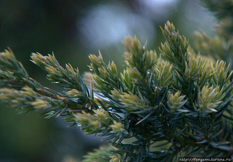 Плачет Осень в парке Штутгарт, Германия Плачет Осень в парке Штутгарт, Германия