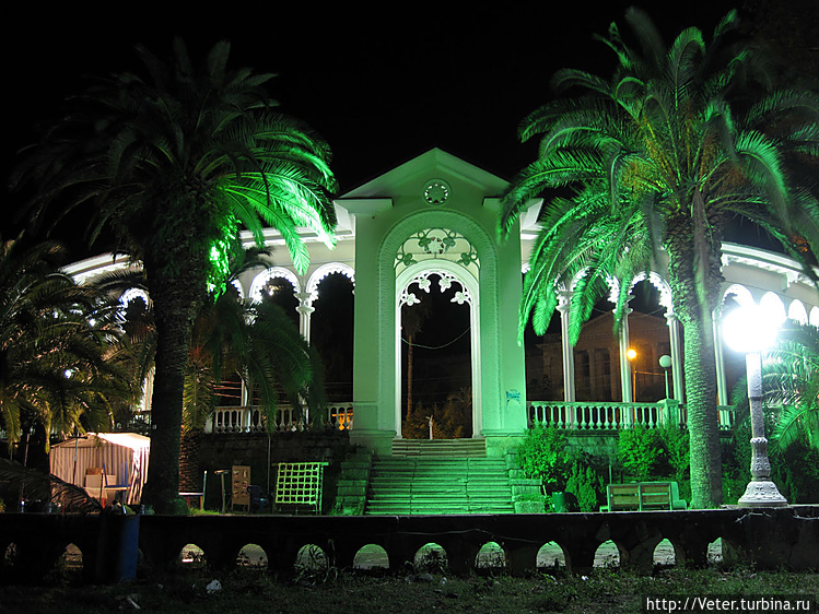 Огромные пальмы чем-то на Огромные пальмы чем-то на