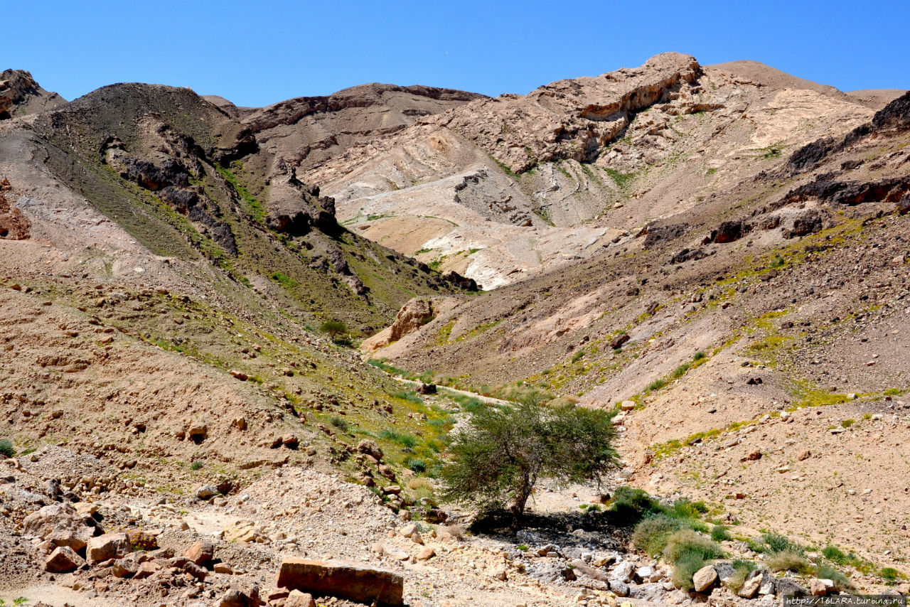 негев горы соль. негев горы соль. царь в пустыне негев. долина царей египет. тимна (город).