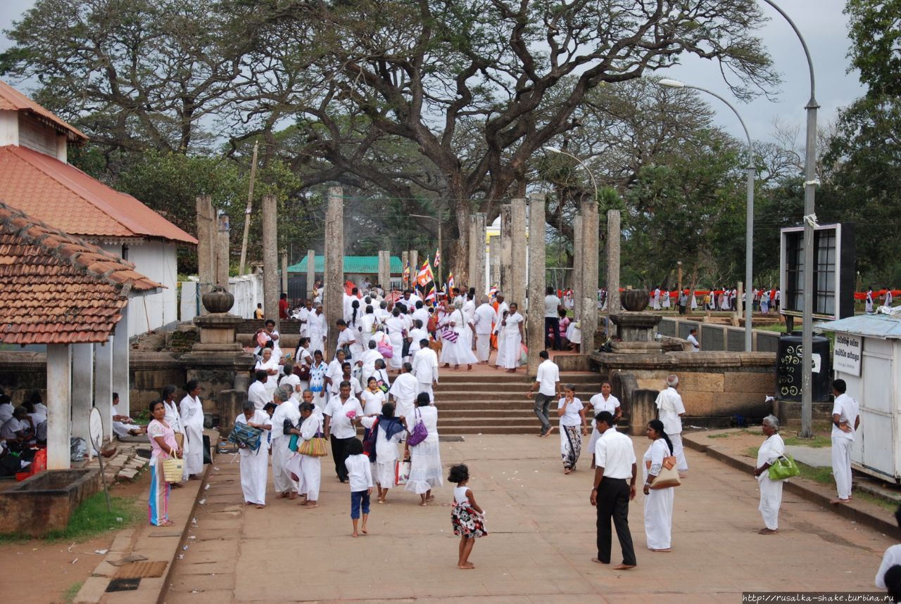Праздник у Руанвелиссии Анурадхапура, Шри-Ланка
