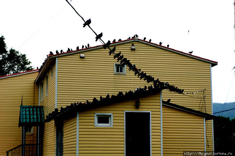 Преддверие  осени... Южно-Сахалинск, Россия