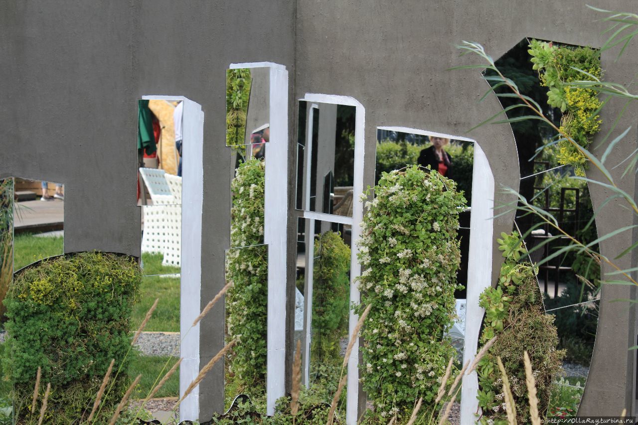 Moscow Flower Show 2017. Фотоотчёт и впечатления. Москва, Россия