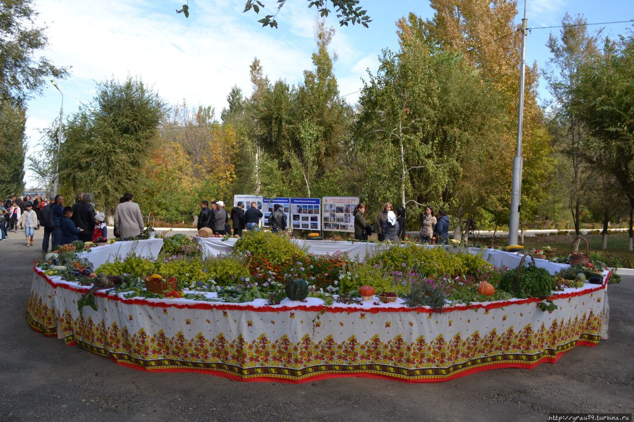 Районный парк отдыха Александров-Гай, Россия