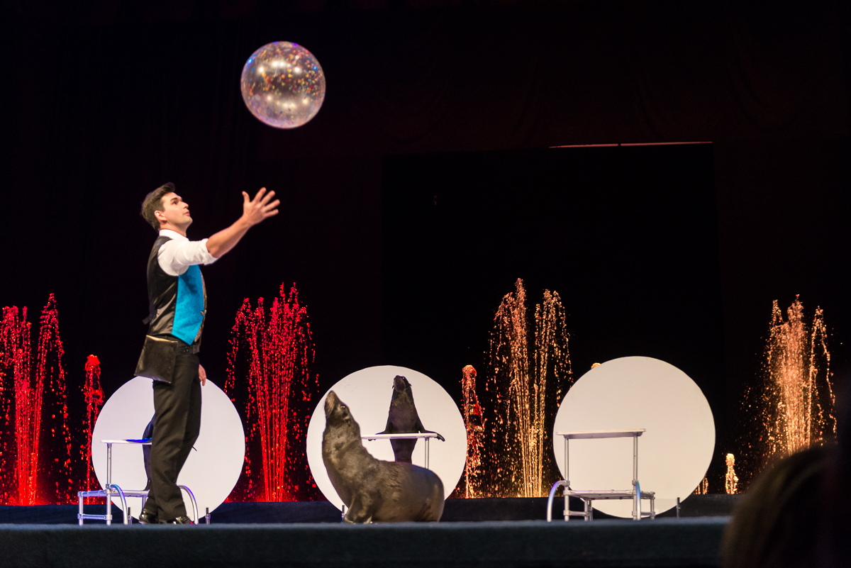 Цирк с фонтанами Москва, Россия