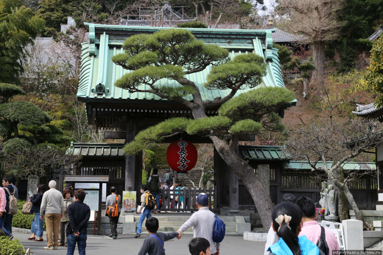 Начало Храма Камакура, Япония