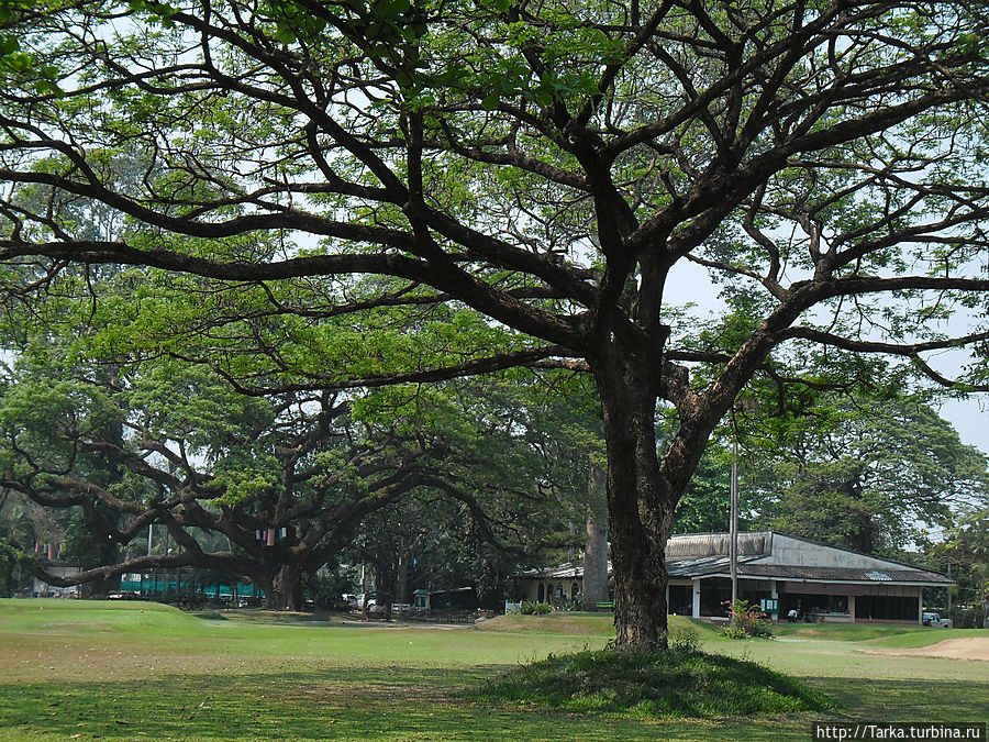 Чиангмай Чиангмай, Таиланд