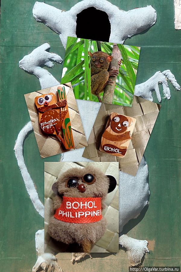 *На долгопятах делают неплохой бизнес