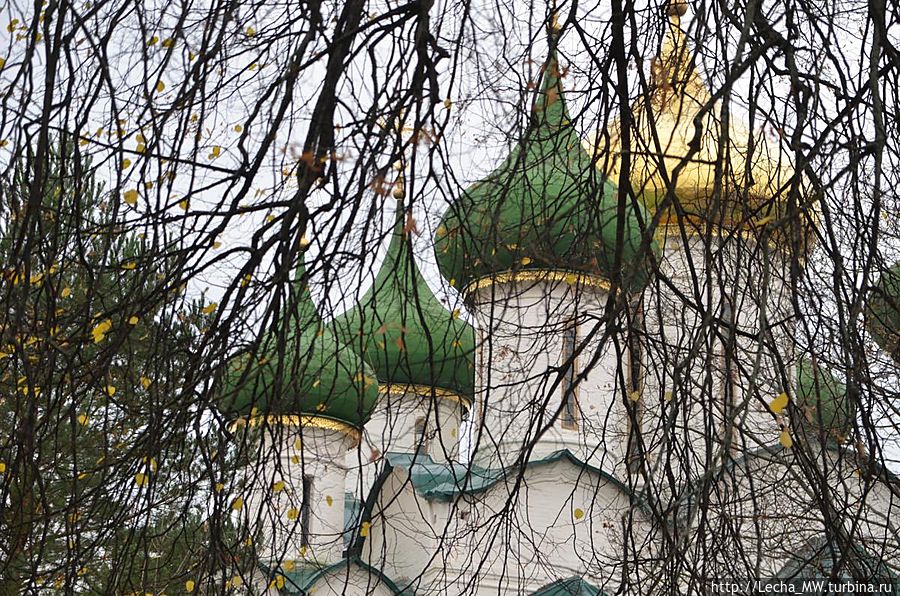 Купола Спасо-Преображенского собора Суздаль, Россия