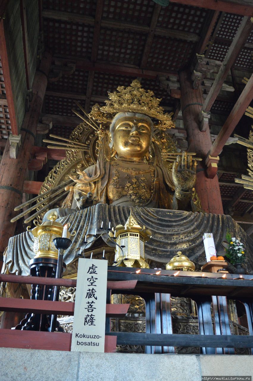 Нара. В ноздре у Будды Нара, Япония