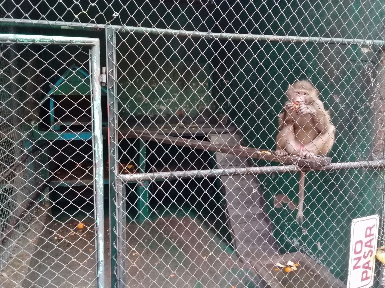 Муниципальный зоопарк Сальто, Уругвай