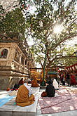 Дерево Бодхи, сидя под которым Будда Шакьямуни обрёл Просветление