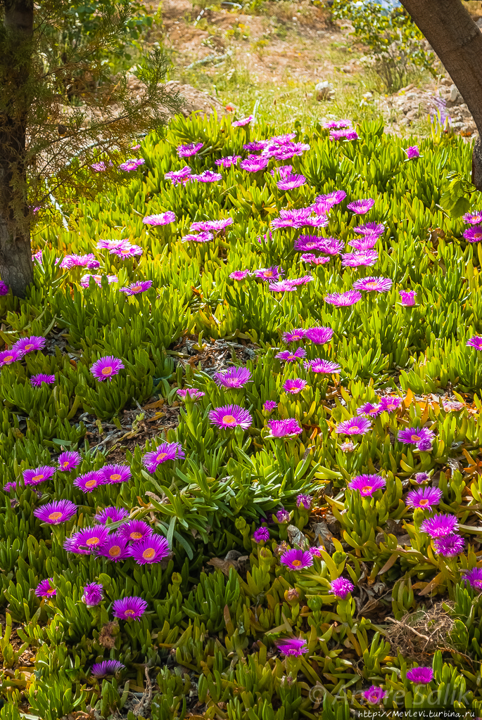 Панорамы Шираза Шираз, Иран