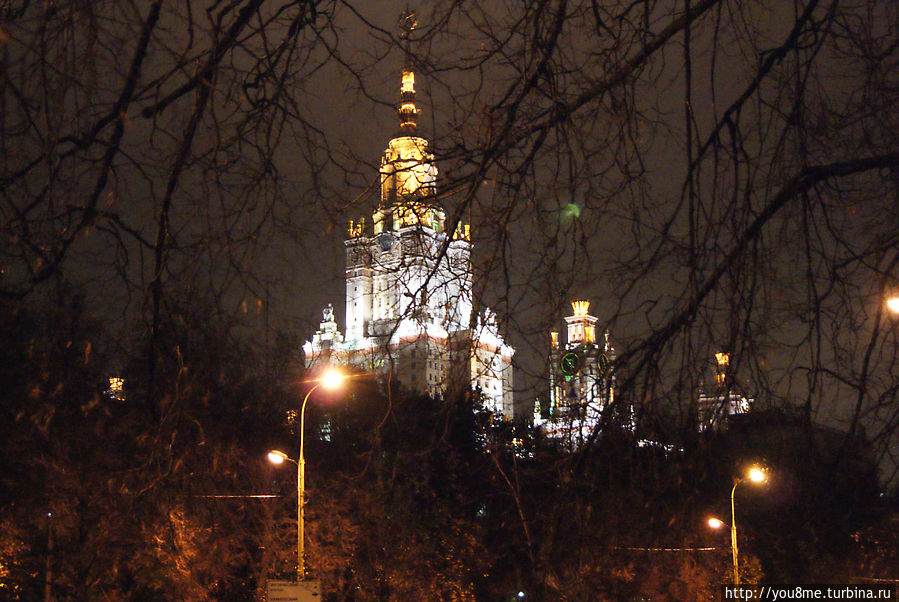 Ночь. Улица. Фонарь Москва и Московская область, Россия