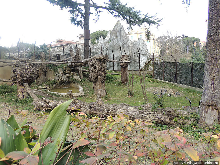Zoo Roma Рим, Италия