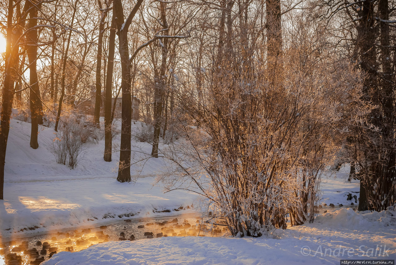 Лыжная трасса в Парке Победы Рига, Латвия