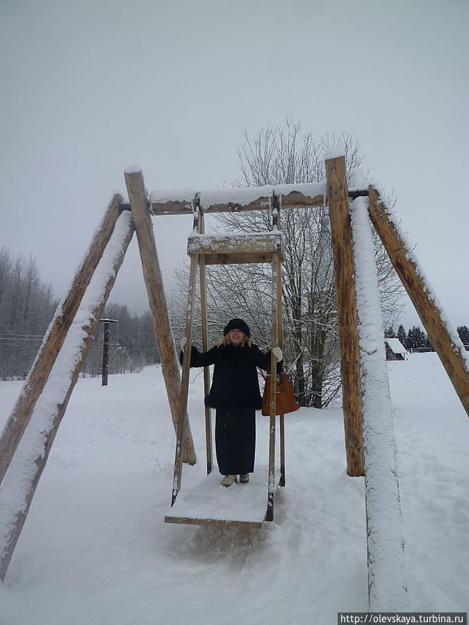 Зима в Семенково Семенково, Россия
