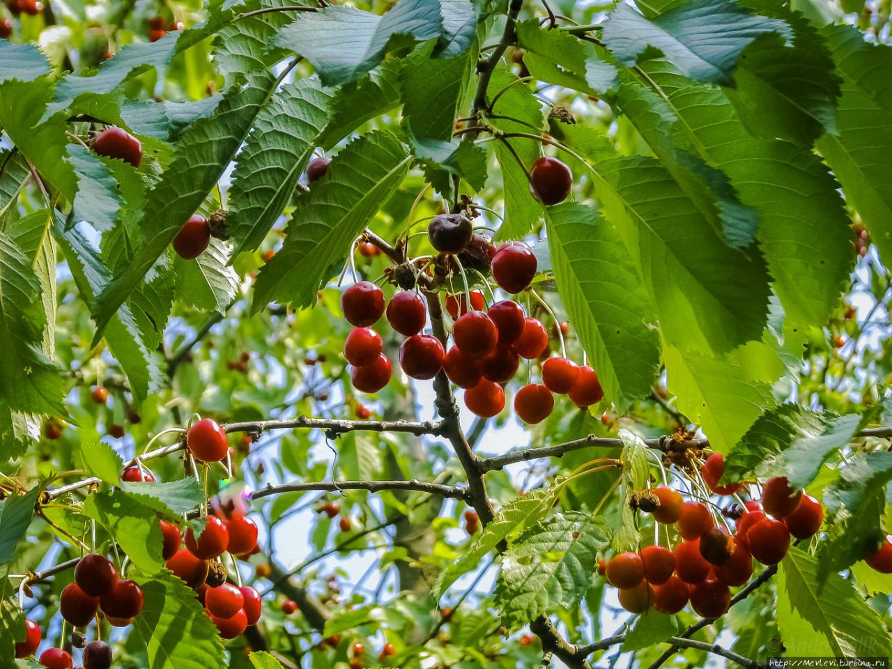 Гостевой дом Лимбажский район, Латвия