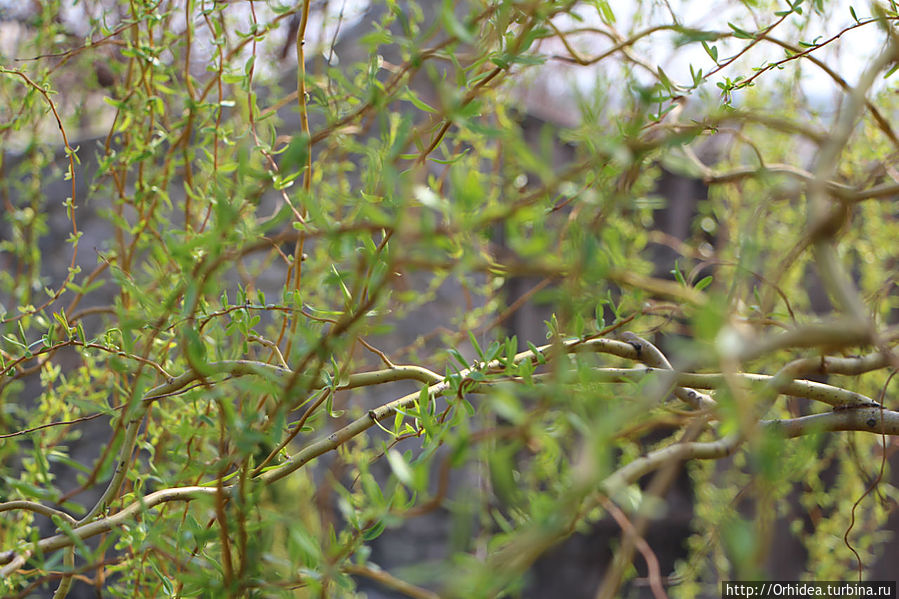 Хроники весны, день двадцатый Харьковская область, Украина