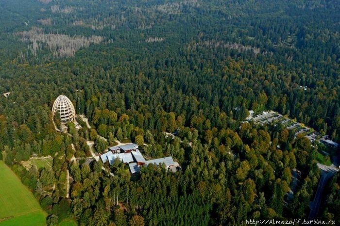 Баварский лес просто огромен! Боденмайс, Германия