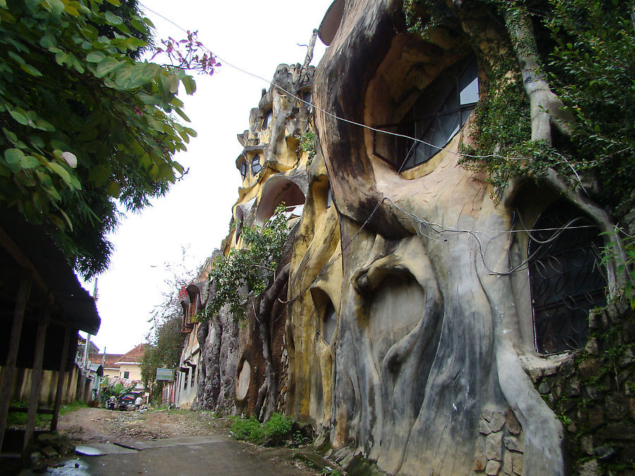 Пенек и лабиринт кишечника Далат, Вьетнам