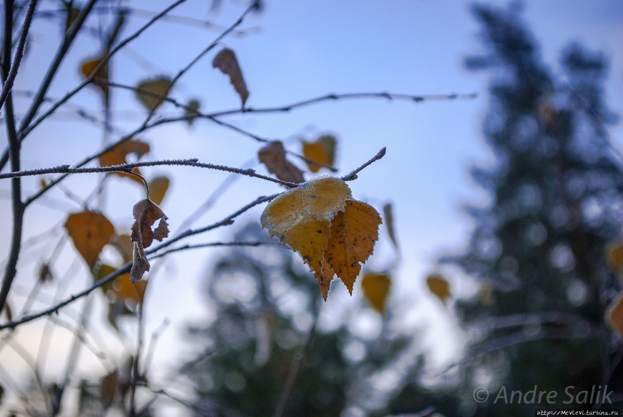 Изморозь Рига, Латвия