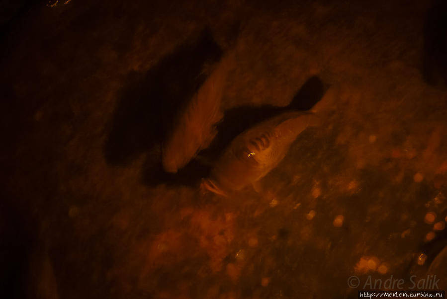 Подземный храм Стамбул, Турция