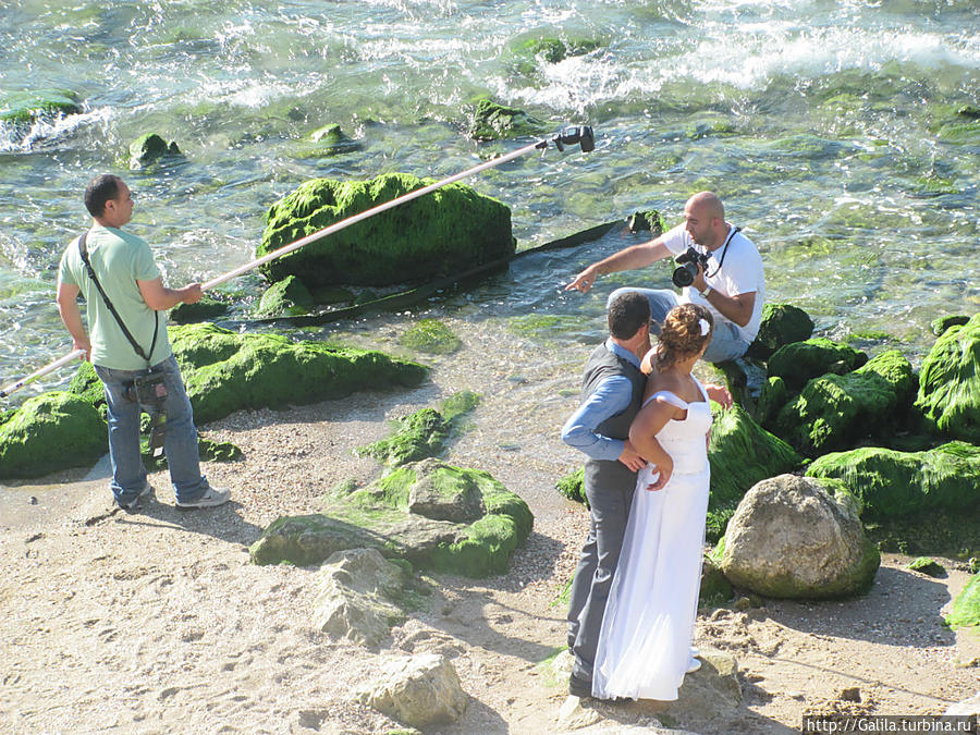 Внимание, мотор. Яффо, Израиль