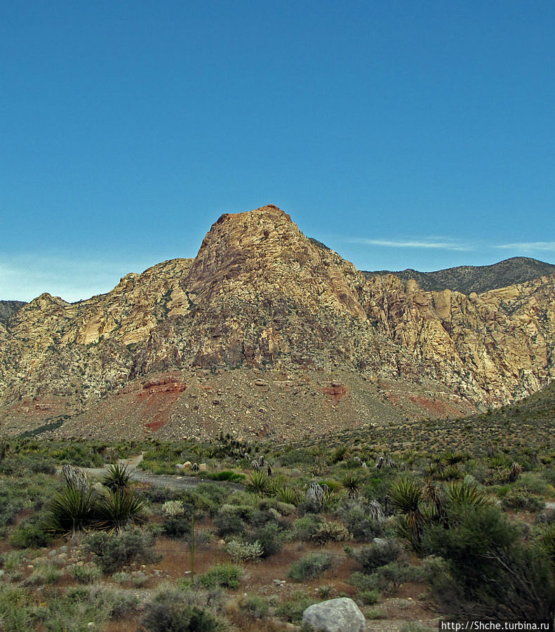 Долина Смерти. Путь из Вегаса — горы и деревья Джошуа Штат Невада, CША