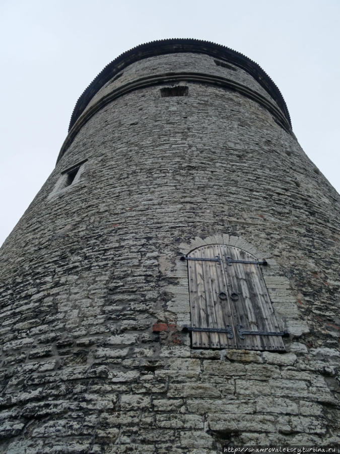 Башня Кик ин де Кёк Таллин, Эстония