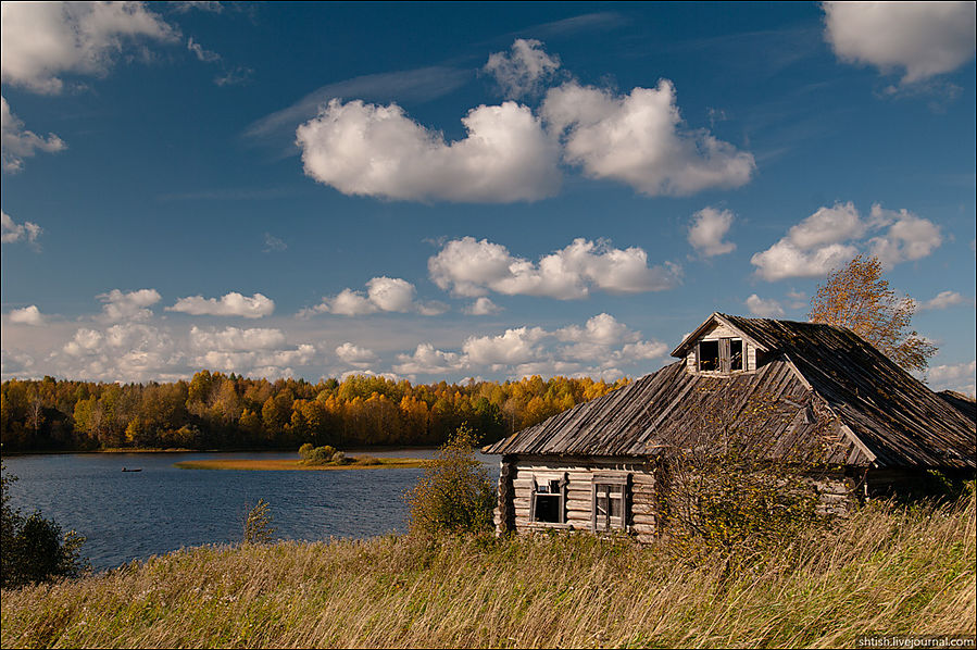 Россия. Кенозерье. Часть северная Вершинино, Россия