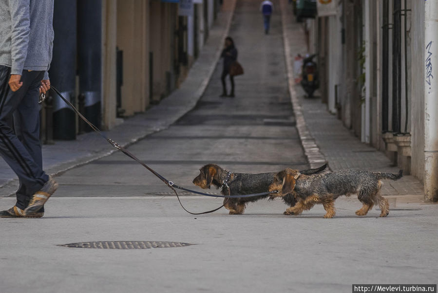 Вечерний Ситжес Ситжес, Испания