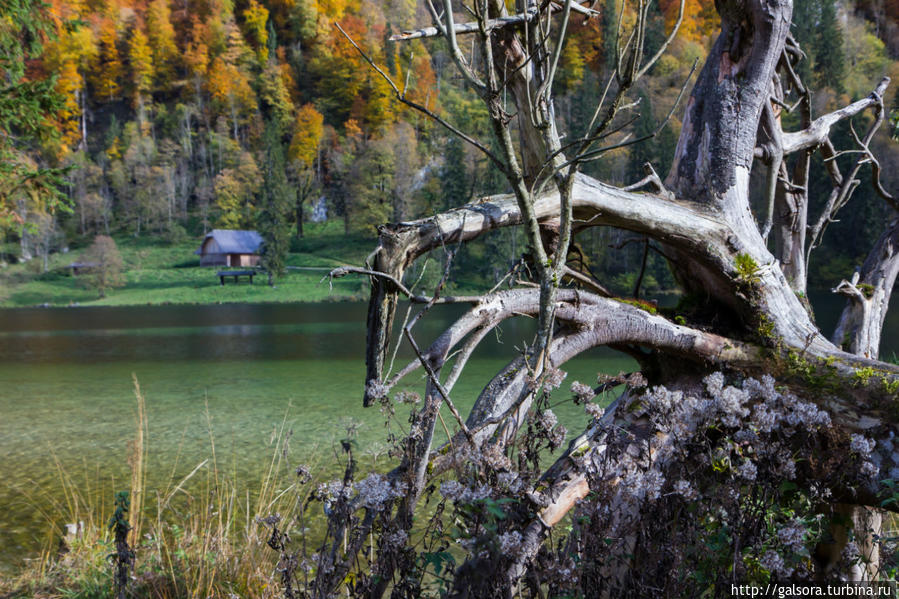 Королевское озеро Рамзау-Берхтесгаден, Германия