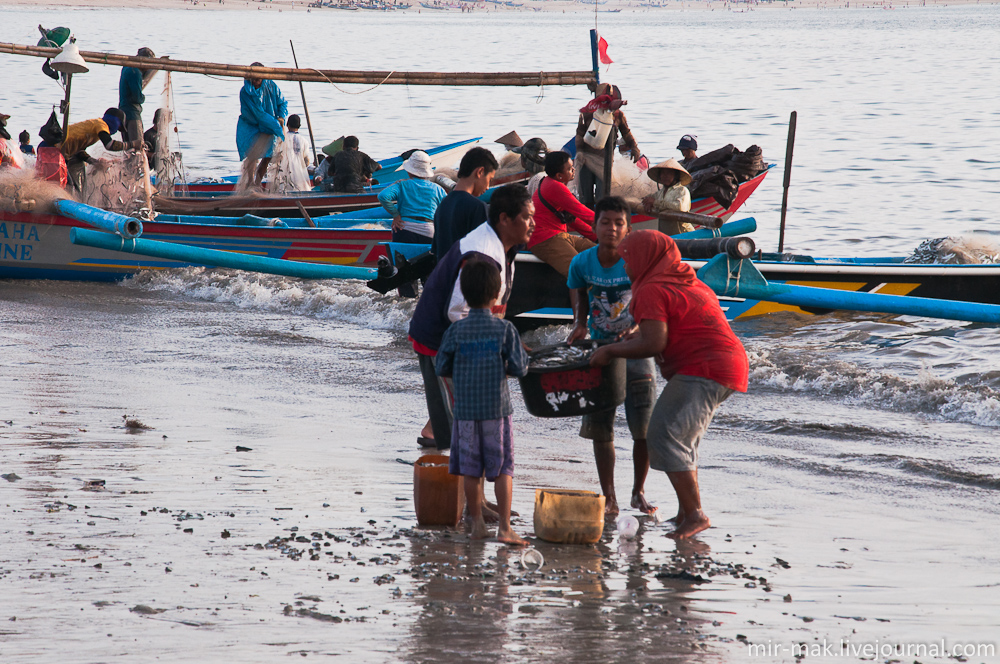 Сцена из жизни «семья за работой»: набрав полный таз мелкой рыбы, мама, папа и два сына поднимают его над головами, чтобы потом его водрузить … Джимбаран, Индонезия