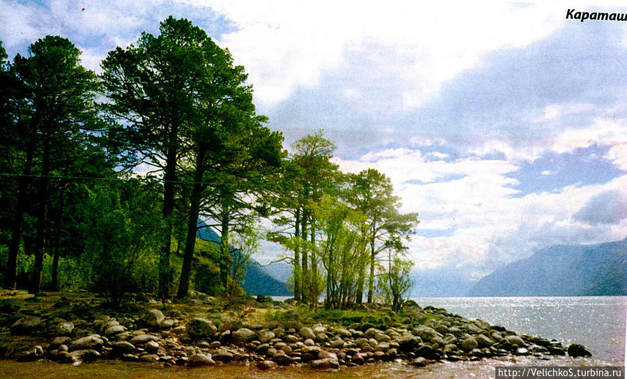 Мыс удивительно красив... Телецкое озеро, Россия