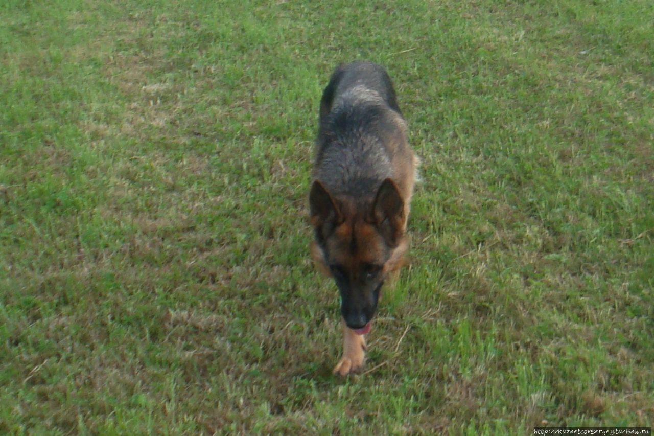 Зигер в Ульме Ульм, Германия Зигер в Ульме Ульм, Германия