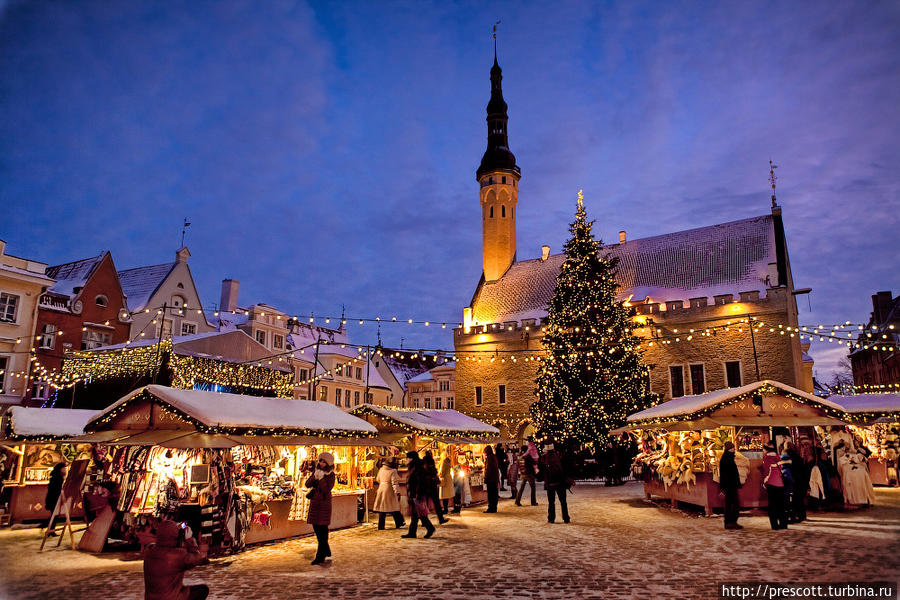 Рождество в Таллине Таллин, Эстония