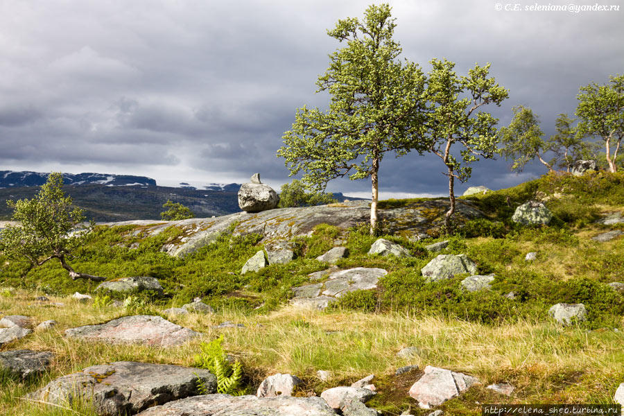 12. Но есть в этой скупой на краски природе своё очарование. Норвегия