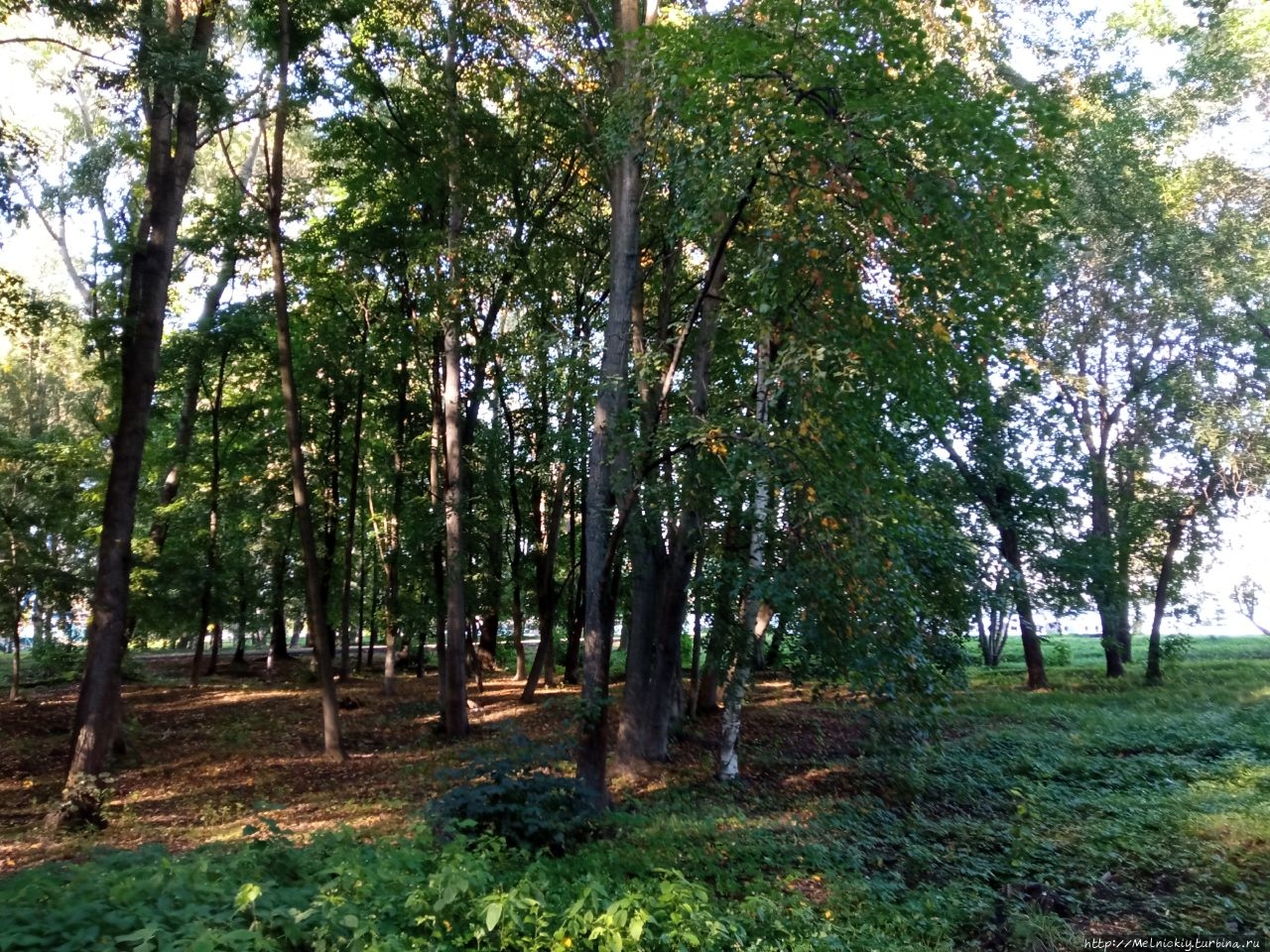 Петровский сад Петрозаводск, Россия