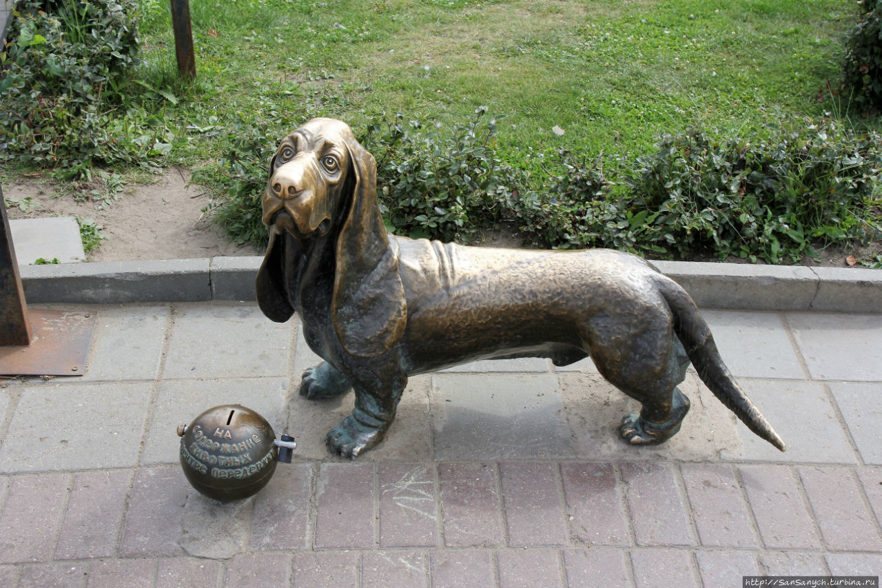 Памятник собаке. Кострома, Россия