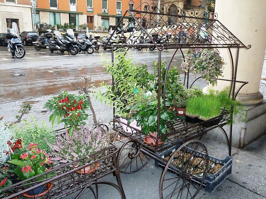 На улице Марчи Болонья, Италия