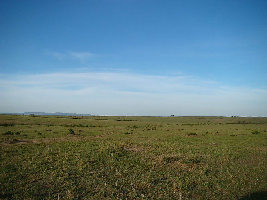 Рожденные свободными Масаи-Мара Национальный Парк, Кения