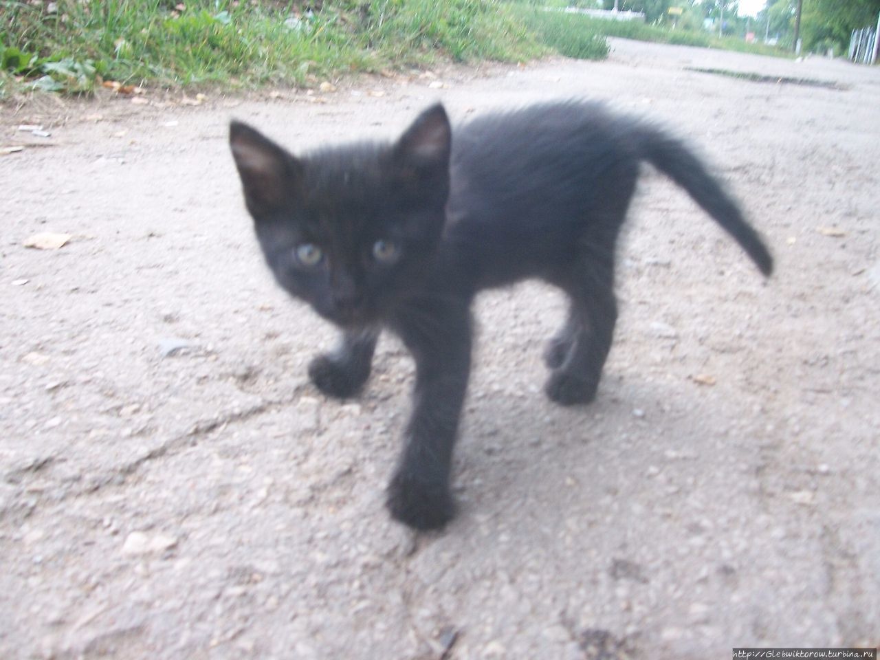 Осмотр немногочисленных достопримечательностей Венёв, Россия