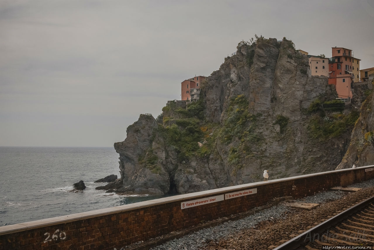 Город на скале Манарола, Италия
