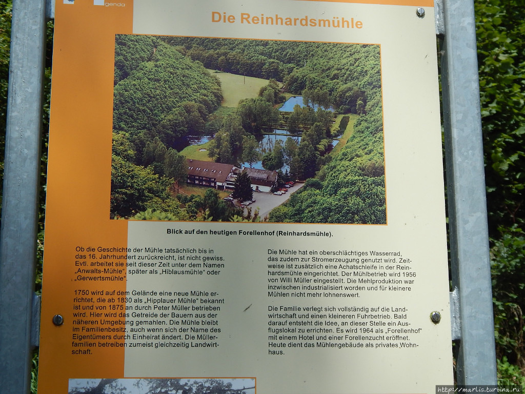 Прогулка в замок немецкого Робин Гуда Кирн, Германия
