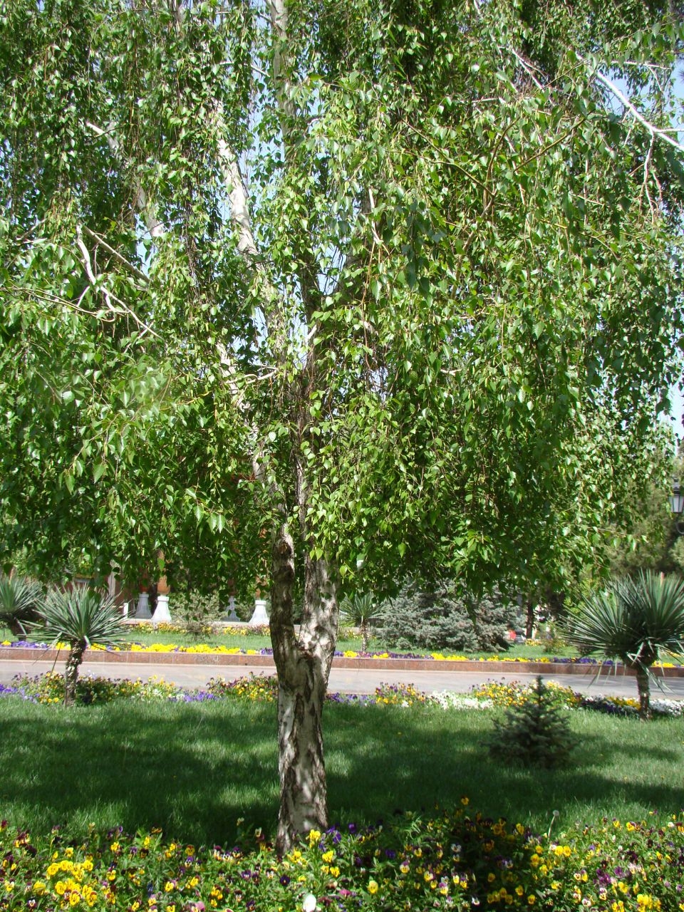 Памятник Скорбящей матери Самарканд, Узбекистан