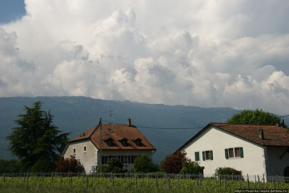 Женевский винный маршрут / Swiss wine route