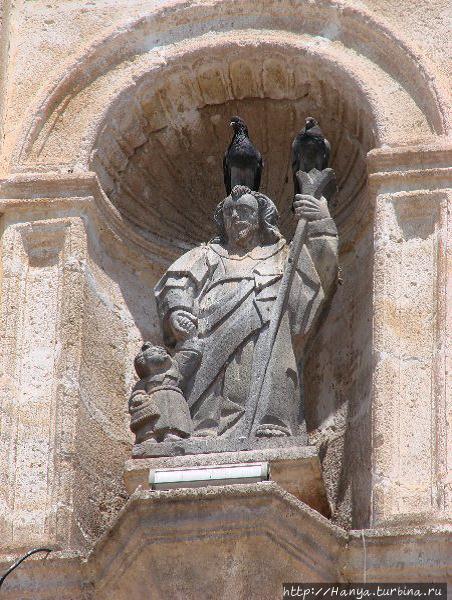 Из интернета