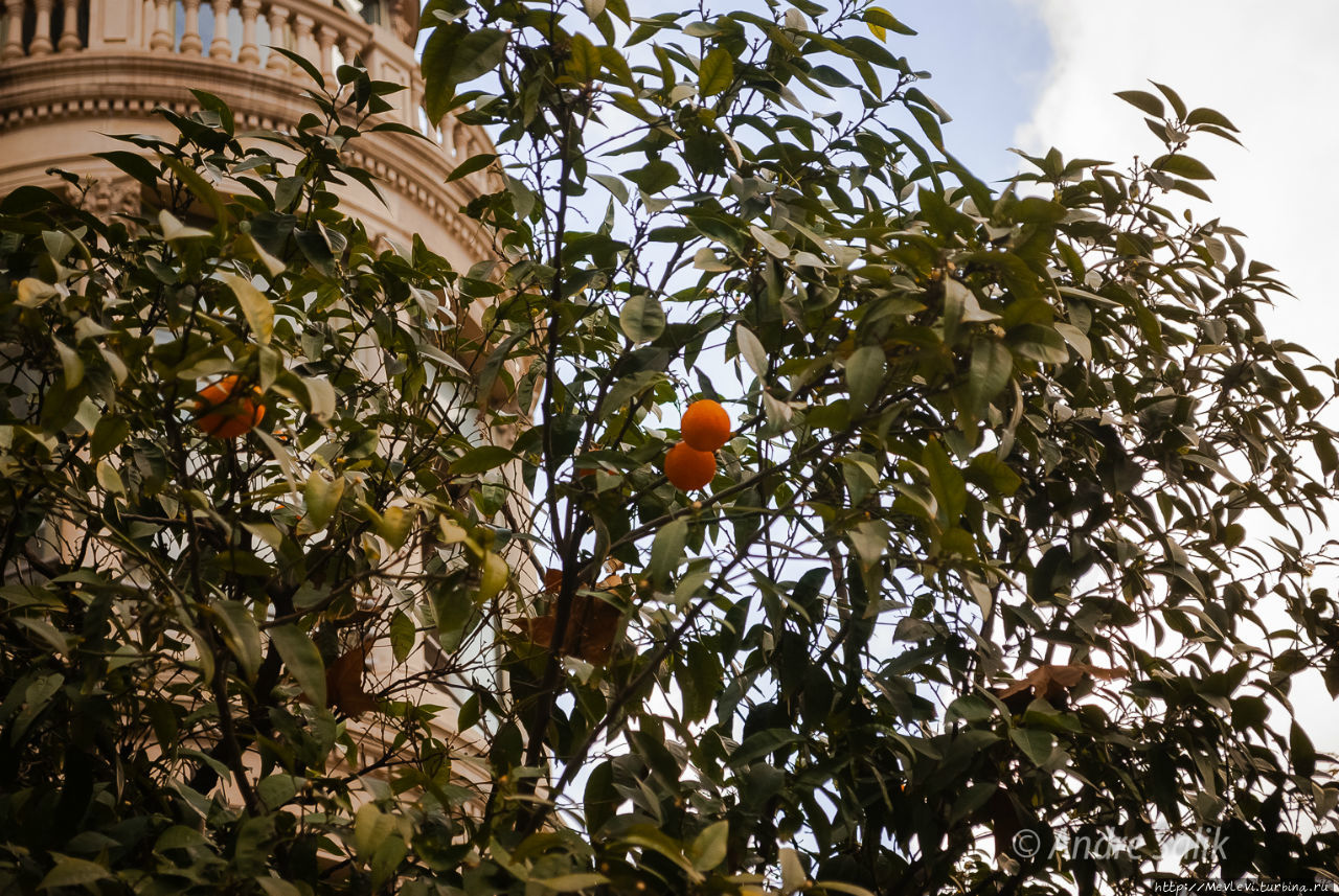 Февральская Барселона Барселона, Испания
